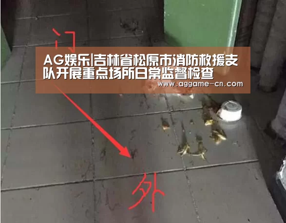 AG娱乐|吉林省松原市消防救援支队开展重点场所日常监督检查(图3) AG娱乐
