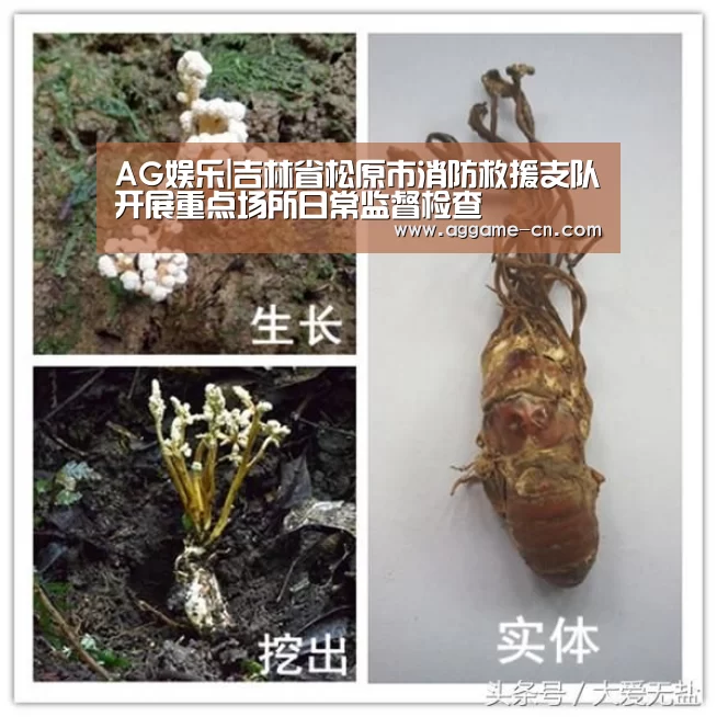 AG娱乐|吉林省松原市消防救援支队开展重点场所日常监督检查(图1) AG官方