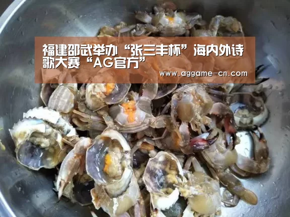 福建邵武举办“张三丰杯”海内外诗歌大赛“AG官方”(图1) AG平台